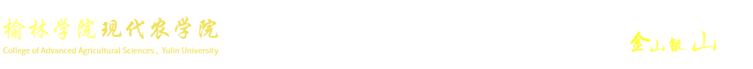 388vip太阳集团